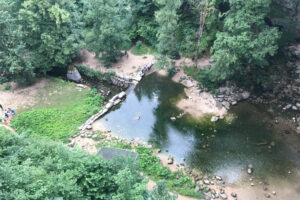 AtelierVogueHerisson1