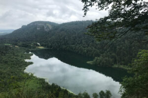 AtelierVogueHerisson3