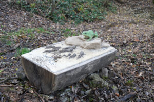 Foret_expériences_Sentier_decouverte_1