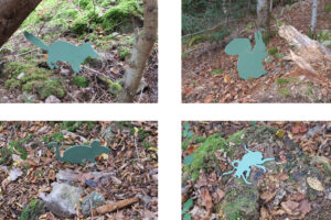 Foret_expériences_Sentier_decouverte_3