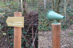 Foret_expériences_Sentier_decouverte_4