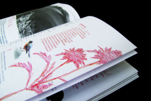 PNRVA_volcan_auvergne_2