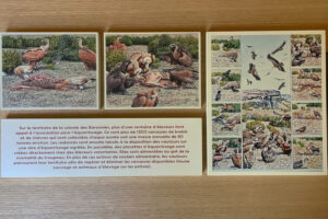 AtelierVogue-MaisonDesVautours (3)