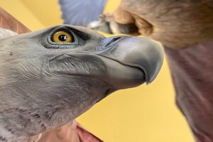 AtelierVogue-MaisonDesVautours (5)