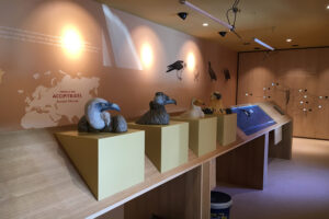 AtelierVogue-MaisonDesVautours (7)