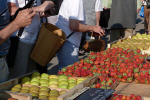 AtelierVogue_Vourles (1)